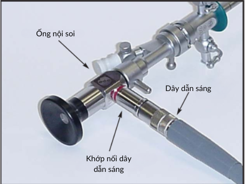 Dây Dẫn Sáng Nội Soi: Tương Thích Với Wolf, Storz, Olympus