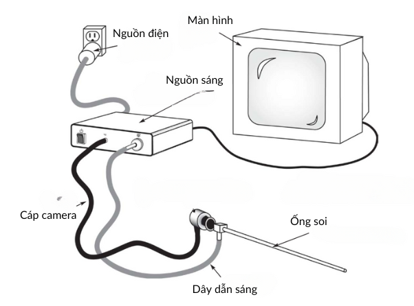 Dây Dẫn Sáng Nội Soi: Tương Thích Với Wolf, Storz, Olympus