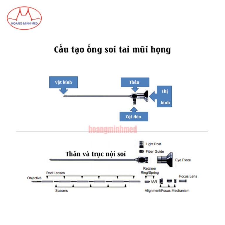 anh10