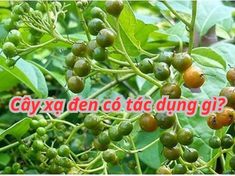 kohfz667me00ukroesrvo4edxo3ditx5ubo4nh_gtwulvx0nfyg8-k8rcnpzxvag2udgxmpuindsl3orn9yffnjwssloew6-elgyiag_arp5sz66hxowine08xgnvpszp58p3uy0-vmw2roxezpneanfnnrbgzvgen8prtdrhvgpia3svmicf4mbpk6xyw-1