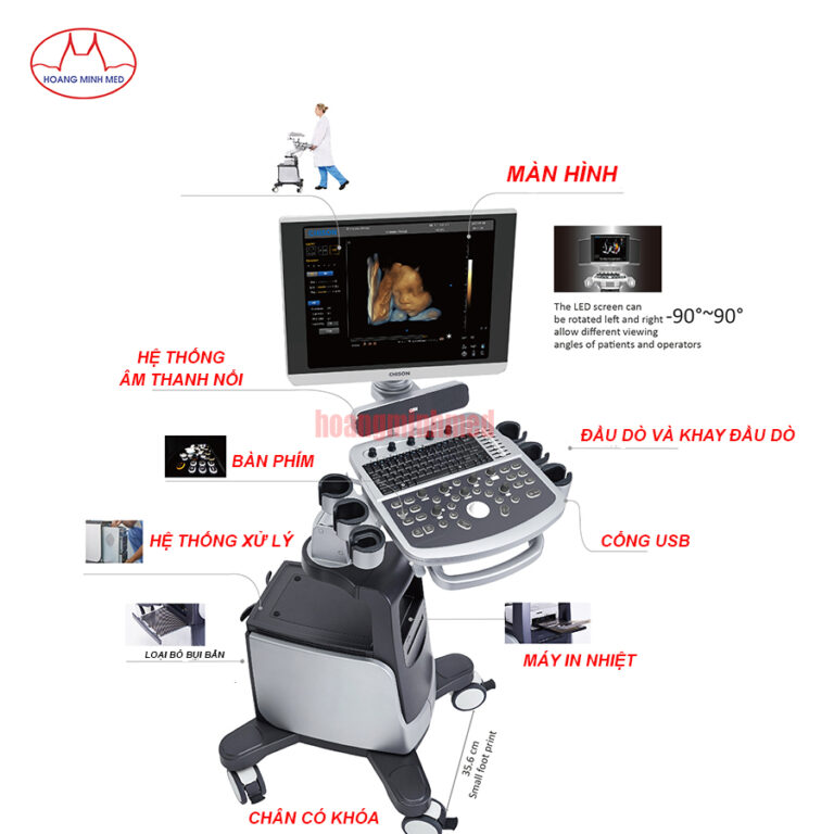 Cấu tạo cơ bản của máy siêu âm