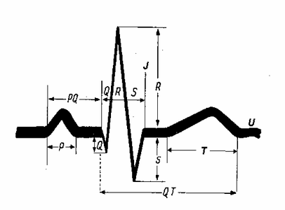song-ecg